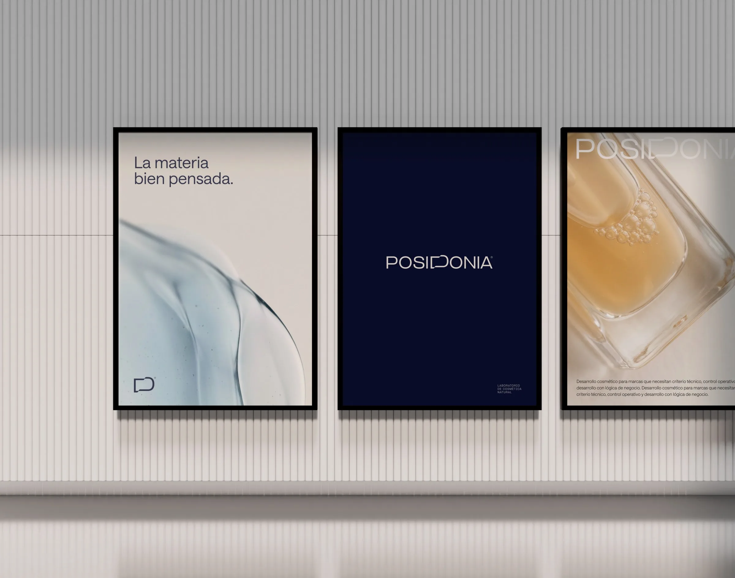 Carteles de Posidonia